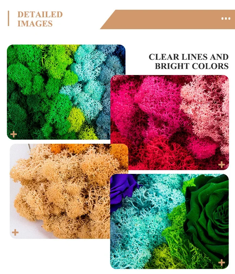 Colorful Preserved Moss For Decoration Moos Konserviert Buy Moss For