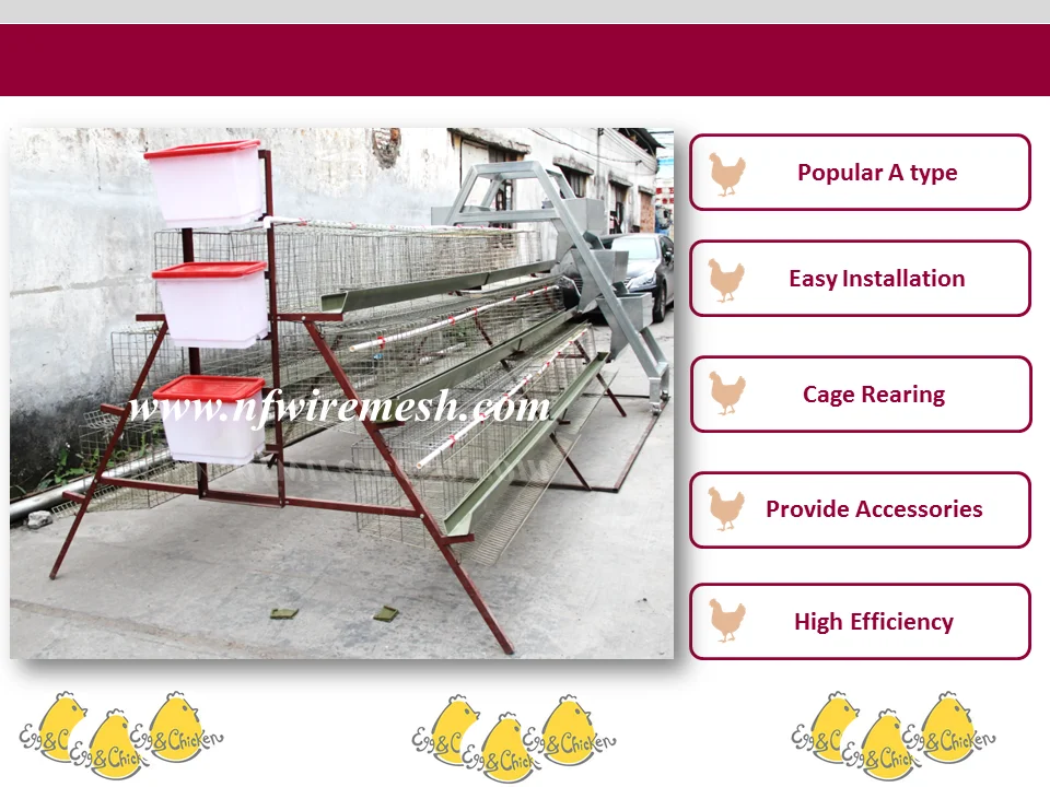 2016 Africa hot sale 3/4 layer chicken battery cage/design layer chicken cages (Guangzhou Factory)