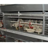 Provide poultry farm design broiler chicken cages layers with H-frame