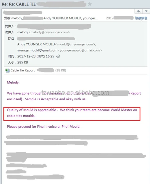 cable tie injection mould