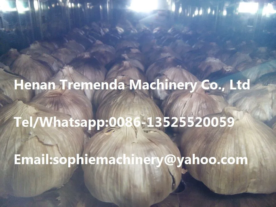 black garlic machine (19).jpg