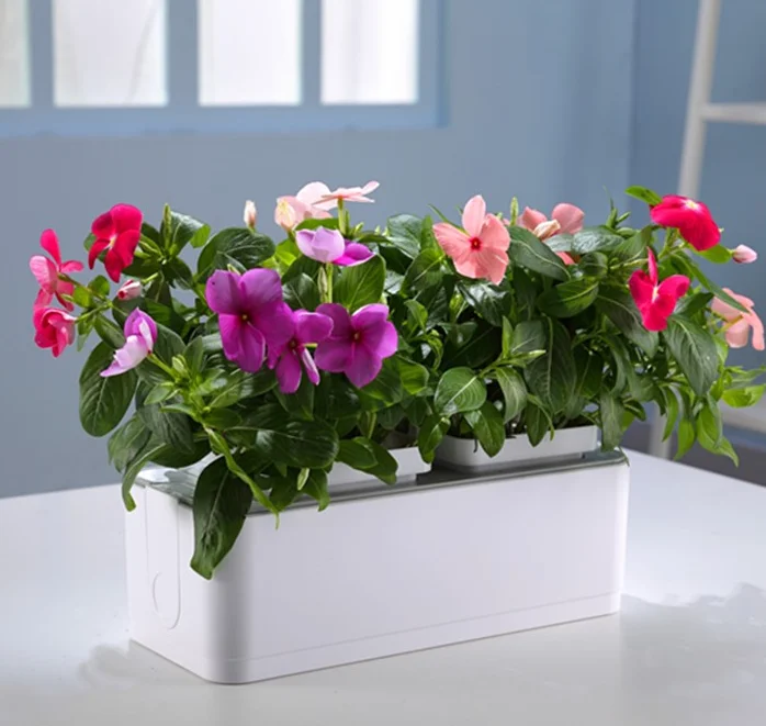 flower pot 17