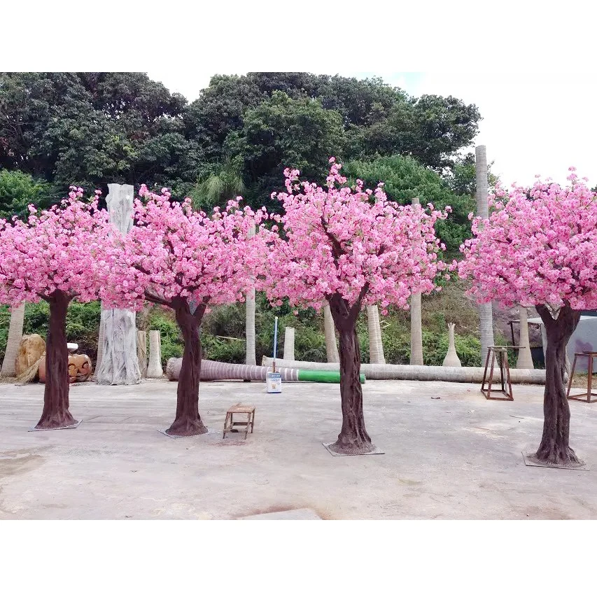 Розовые деревья в краснодаре. Дерево с розовыми цветами. Дерево цветет розовыми цветами. Декоративное дерево с розовыми цветами. Китайские цветущие деревья.