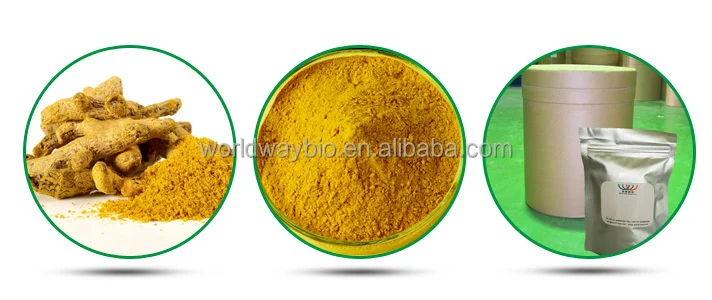 Chinese Traditional Herb Turmeric Extract 95% Curcumin Powder Pure Curcumin Extract Turmeric Extract Curcumi