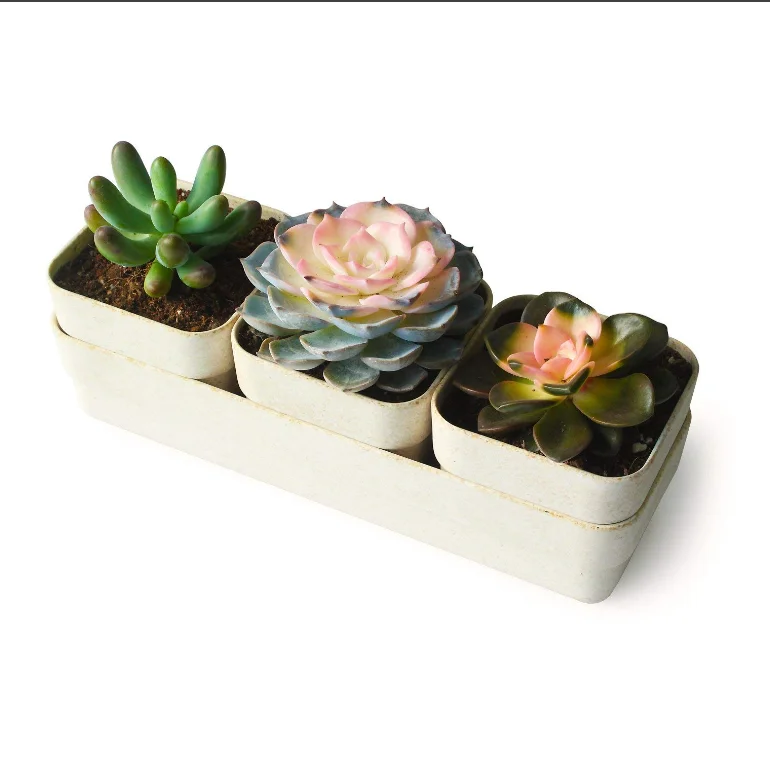 bamboo fiber flower pot 6