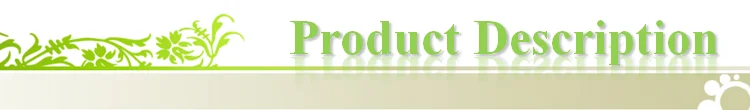 Product Description.png