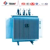 S9 125KVA Oil Immersed Power Distributing Transformers small high voltage transformer