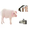 pig slaughter house pork skin cutting machine for sale