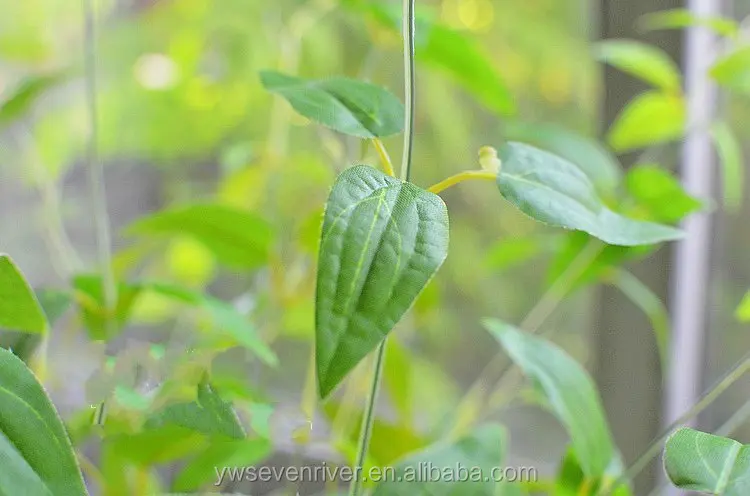 4 Kecil Bifurkasi Fern Leaf Simulasi Daun Tebu Tanaman Hijau