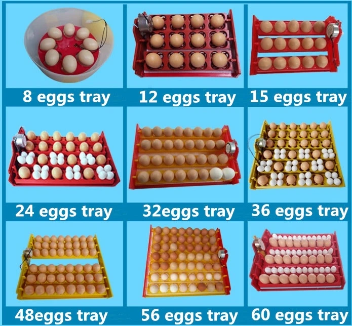 Full Automatic Chicken Egg Incubator With Controller Spare Parts - Buy