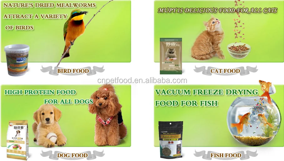 High Protein Mealworms Black Soldier Flies Bird Food Buy Bird Food,Pet Food,Dried Mealworm