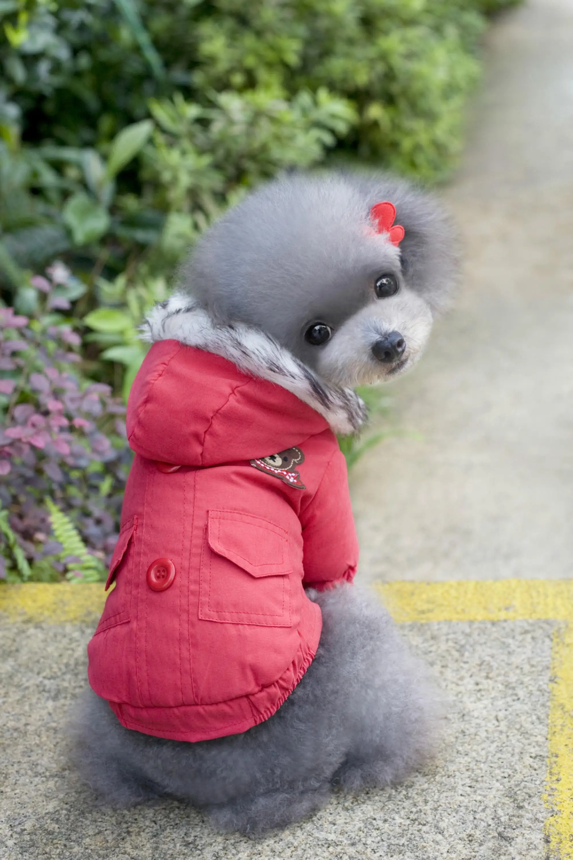 Leisure Soft Warm Pet Coat With Hood