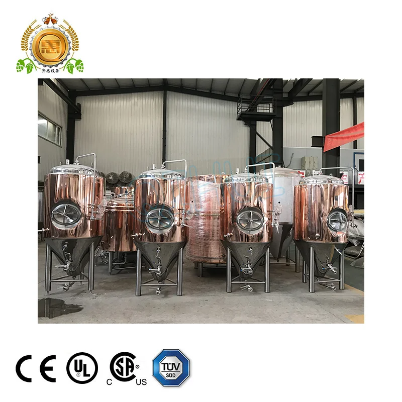 500L BREWERY (5)