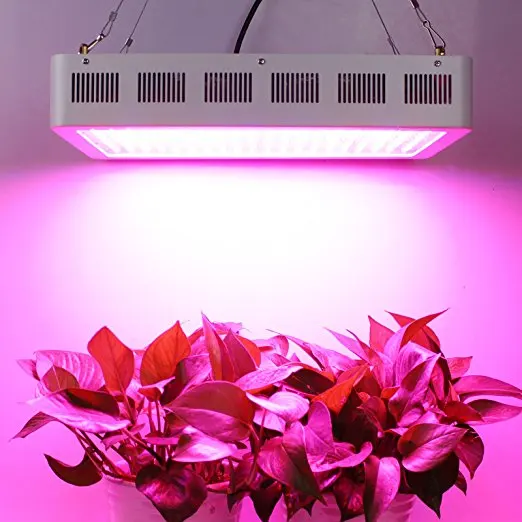 Full Spectrum 1000w LED Grow Lights weed led grow light For Greenhouse Hydroponic