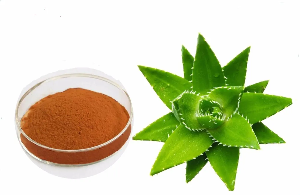 Cas 1415 73 2 Aloe Barbadensis Leaf Extract Powder With Aloin 10 For Cosmetics Buy Aloe 4385
