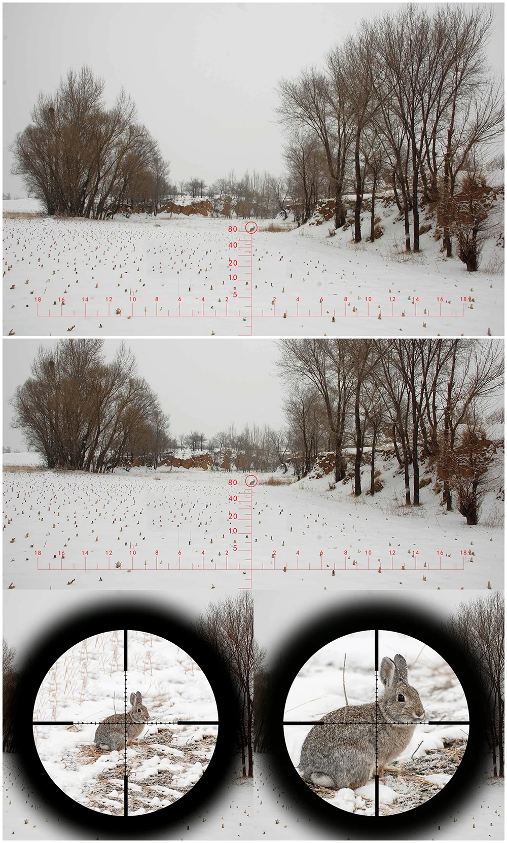 Прицел оптический 16 крат. Хатсан 125 с оптическим прицелом. Прицел оптический bushnell aw-66 6-24x50 с подсветкой. Приближение прицела. Оптический прицел хавка сменной кратности 4 на 16.