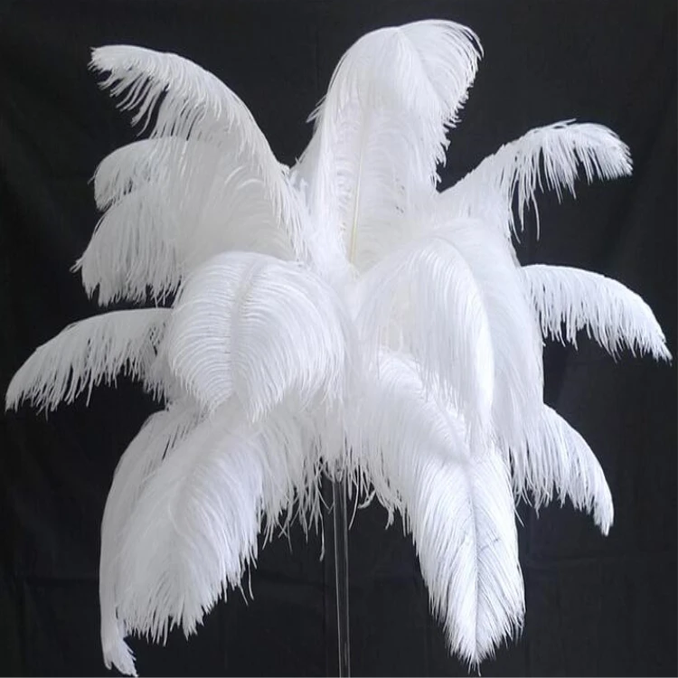 large ostrich feathers