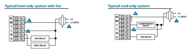750=200=2.jpg