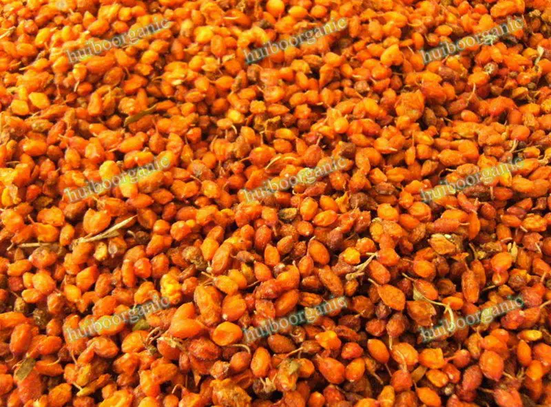 Organic Sea Buckthorn Powder / Dried Sea Buckthorn Berries Powder Buy