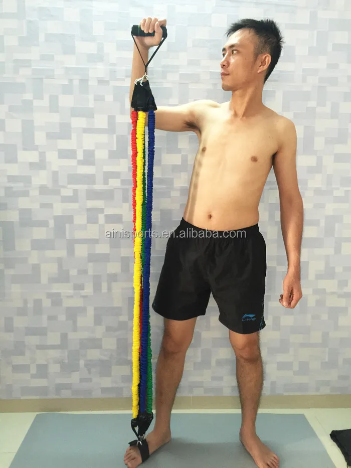 big 5 exercise bands