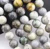 Nice Smooth Bamboo Leaf Agate Gemstone Round Loose Beads Size 6mm/8mm/10mm 15.5 Inches per Strand.
