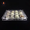 PET plastic material quail egg packaging tray for sale