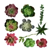 /product-detail/korea-artificial-succulent-plant-arrangements-62211753763.html