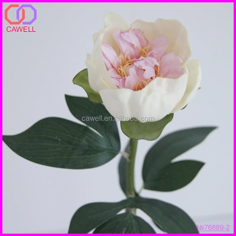Real Natural Peony Wholesale Preserved Flower Buy Preserved Flower
