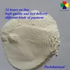 high content 90%TC 95%TC paclobutrazol cultar for mango 2016