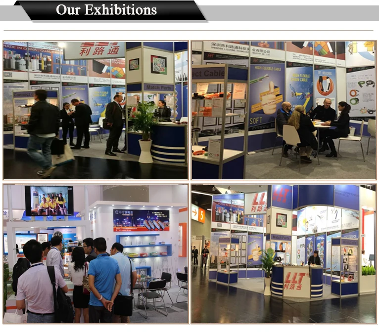 Our Exhibitions
