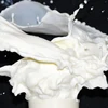 White paste thermal grease used for induction cooker