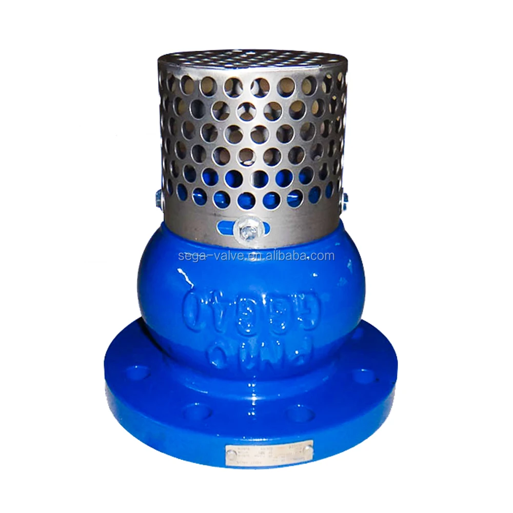 Ductile Iron / Cast Iron Water Foot Valve For Pipe Line With Competitive Price Buy Cast Iron