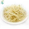 Whitebait fresh frozen anchovies
