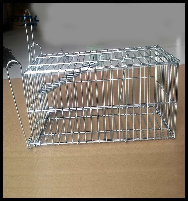 Cage De Survie Pour Petits Animaux 1 Piece Minnie Lapin Oiseau Chat Piege Pour La Chasse Buy Rat Piege Cage Acier Inoxydable Souris Piege Cage Martre Cage Piege Product On Alibaba Com