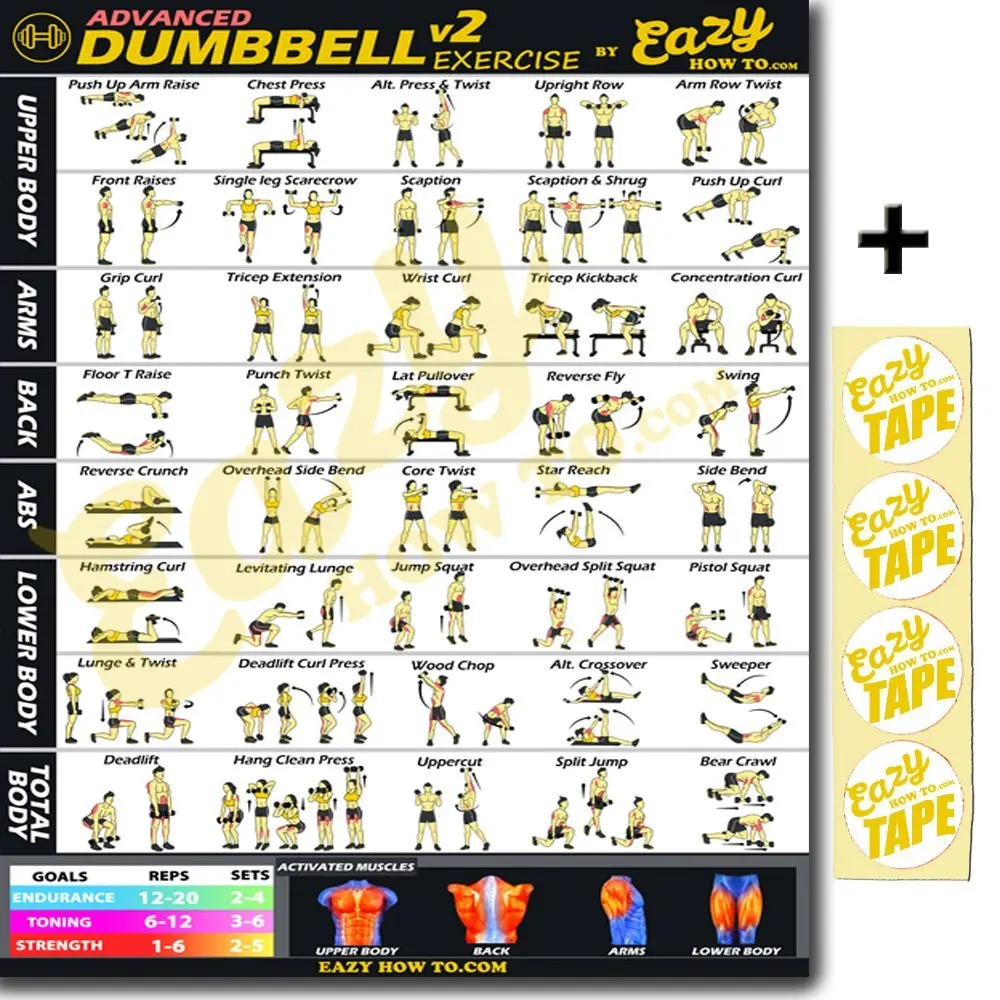 Build Strength /& Muscle Home Gym Chart Eazy How To Suspension Cables Exercise Workout Banner Poster BIG 28 X 20 Train Endurance Tone