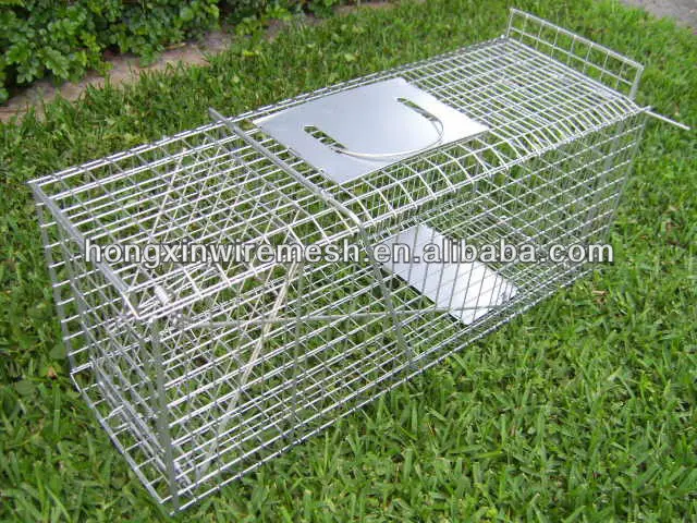 Animal Wire Cage Trap Cat/possum /rabbit - Buy Animal Wire Cage Trap ...