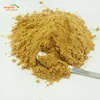 Medical Grade Ginger Root Extract/ginger Root P.e. Health Benefits Powdered Ginger