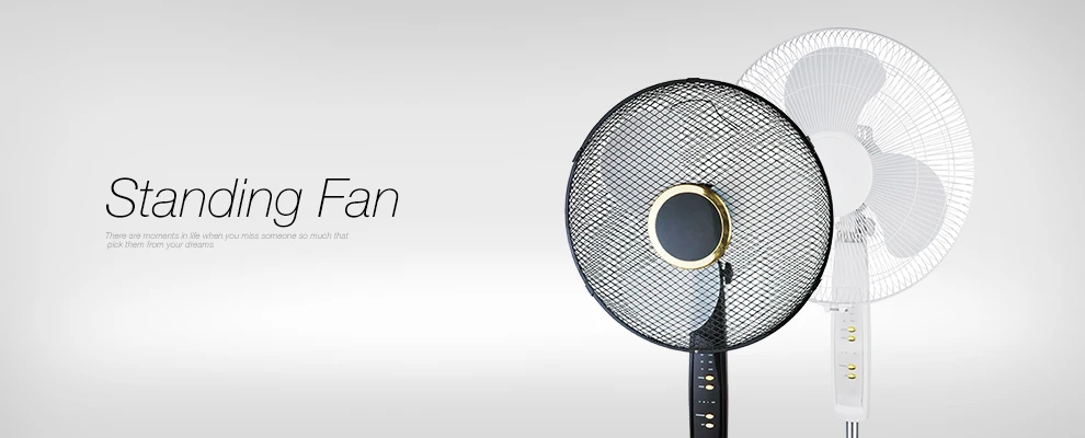 standing fan.jpg