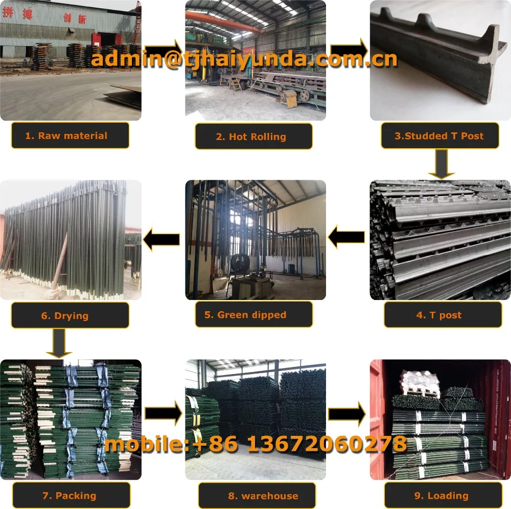 T post production processing.jpg