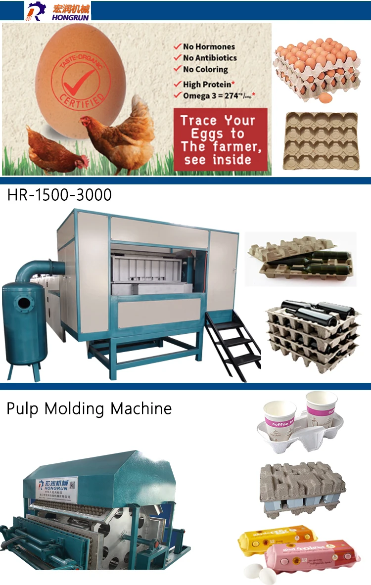 Duck Eggs 6000pcs/hr Capacity Egg Tray Machines To Make Plastic Egg