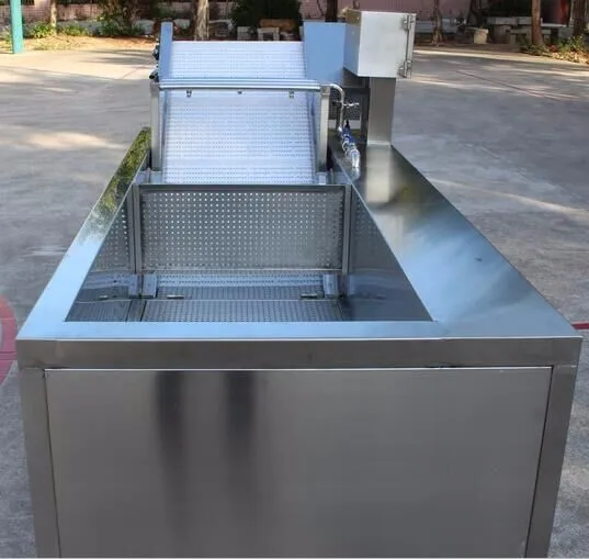 Vegetable Washing Equipment 