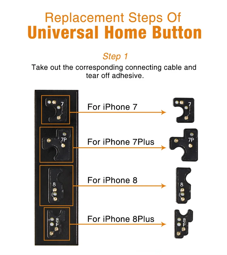 home button for iP 01.jpg