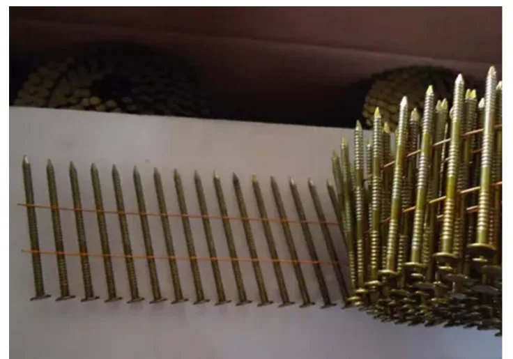 coil nail.png