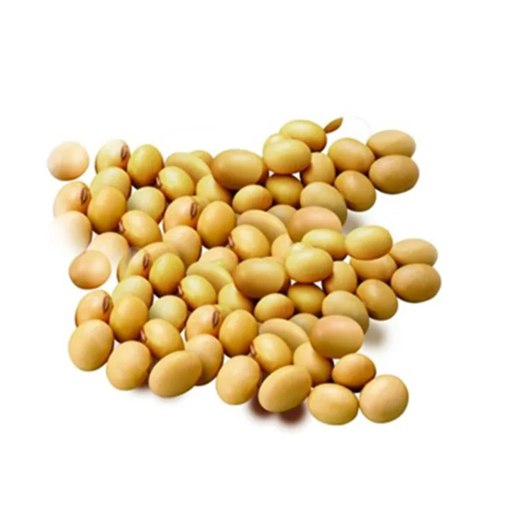 top quality and discounted price non gmo soy protein isolate 90%