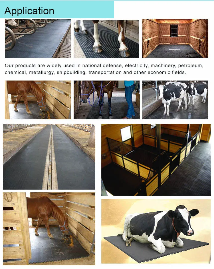 Hexagon Washable Comfort Horse Cow Mattress Buy 4x6 Stall Mats,Rubber