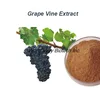 2017 the newest project,new gravpevine extract resveratrol powder, high quality resveratrol