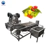 persimmon peach grapefruit tomato washer vegetable washing equipment dragon fruit washing machine