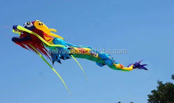 Chinese Dragon Kites From The Kite Factory - Buy Chinese Dragon Kites ...