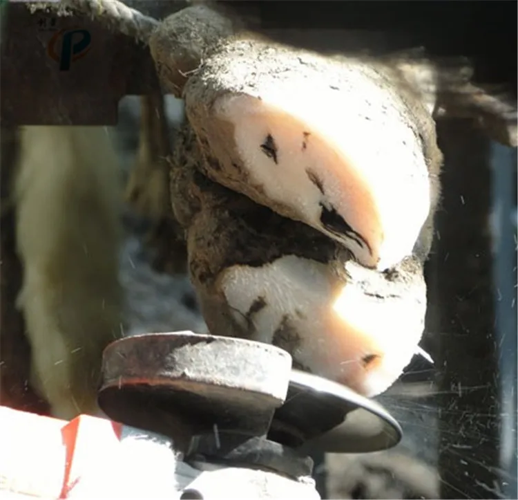 Hot Sale Cow Hoof Trimming Machine,Electric Hoof Trimmer With 220v 50hz