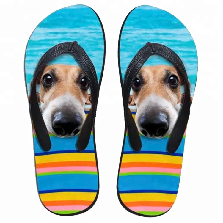 pet flip flops